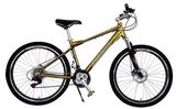 Mountain Bicycle