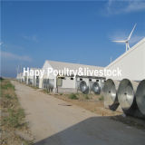 Durable and Low Cost Steel Structure Poultry&Livestock House