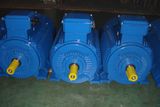 Y2 Series AC Electric Motor Cast Iron 4p 0.75kw