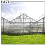Toughened Glass Laminated Glass for Greenhouse