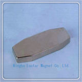NdFeB Permanet Magnet with Special Design