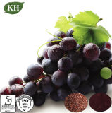 100% Natural Grape Seed Extract Polyphenols and Proanthocyanidins OPC