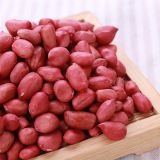 Chinese Round Type Blanched Peanut Kernels