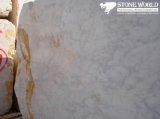 Polished Bianco Carrara White Marble for Slab and Tile