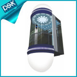 Dsk Sightseeing Elevator with Good Decoration