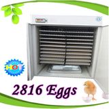 Automatic Poultry Incubators 2816 Egg Incubator Poultry Hatchers for Sale