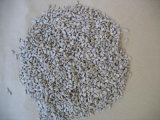 Sunflower Seed Kernel - 1