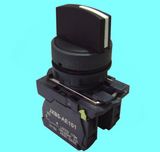 Pushbutton Switch (JXB5-AD53)