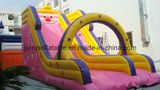 Inflatable Dry Slide (JSL-07)