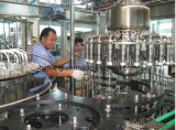 Glass Bottle Beverage Production Line