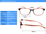 (T1022) Best Sold Fashion Top Tr90 Optical Frames Eyewear