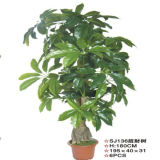 Lifelike Artificial Pachira Macrocarpa Bonsai Tree (Factory direct sales)