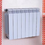 Die Casting Aluminium Radiator (S8010)