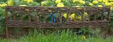 Willow Border