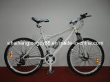 New Model Mountain Bicycle for Hot Sale (MTB-007)