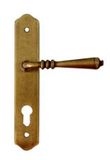 Antique Brass Door Handle