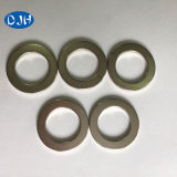 High Quality Permanent NdFeB Ring Magnets for Motor (DRM-017)