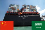 LCL Ocean Shipping Service From Shanghai China to Colombo, Sri Lanka