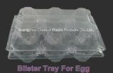 Plastic Blister Tray for Egg Packing