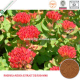 Rhodiola Rosea Rosavins 1% ~ 15% Rhodiola Rosea Seeds