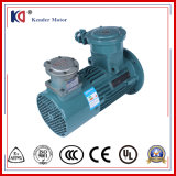 Phase AC Speed Regulating Electric Motor for Transport Machinery