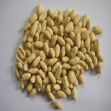 Roasted Peanut Kernel