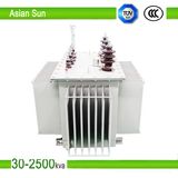 Oil Immersed Electric Power Transformer S11 Series