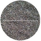 Hemp Seeds High Quality for Exporting