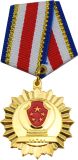 Awarding Badge for Achivement
