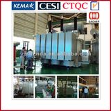 Power Transformer for 110 Kv Oil-Immersed Transformer