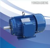 Y Series Three Phase Cast Iron Housing Electric Motor