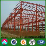Painted Light Steel Structure Building (XGZ-SSB125)