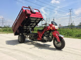 200cc for Double Shock Absorber Cargo Tricycle (TR-4)