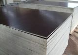 Film Faced Plywood/Formwork/Shuttering Plywood/Formply