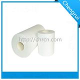 Electrical Insulation Mylar Film 6020