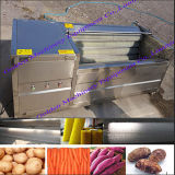 Industrial Stainless Steel Brush Vegetable Washing Peeling Processing Machine