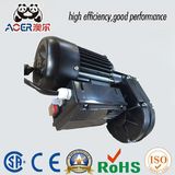 Electric Motor