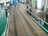 Belt Transmission Conveyor