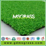 Professional for Golf Sports Synthetic Grass (JSQD-C10C26PG)