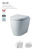 Ceramic Sanitary Ware Washdown Toilet Stangding Floor Water Closet (WDS89T)