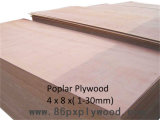 Poplar Plywood