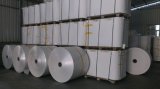 Materials for Paper Cup/Paper Products