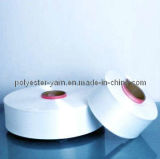 Polyester FDY Yarn (61D/24F)