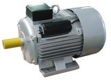 Yc Series 2HP 1 Phase Cast Iron Electric Motor/ AC Gear Motor