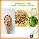 Non-Gmo Pure Natural Soybean Extract 3%-90%