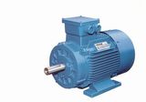 Y2/Y3 Series Three Phase Asynchronous Cast Iron Housing Motor