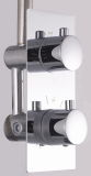 Wall-Mounted Thermostatic Faucet (XH8901)