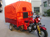 Three Wheel Motorcycle/ Cargo Tricycle (PM250ZH-5)