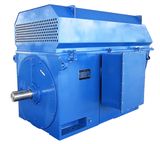 IEC Standard High Voltage Electric Motor