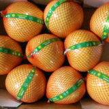 Gap Certificated Chinese Fresh Pomelo